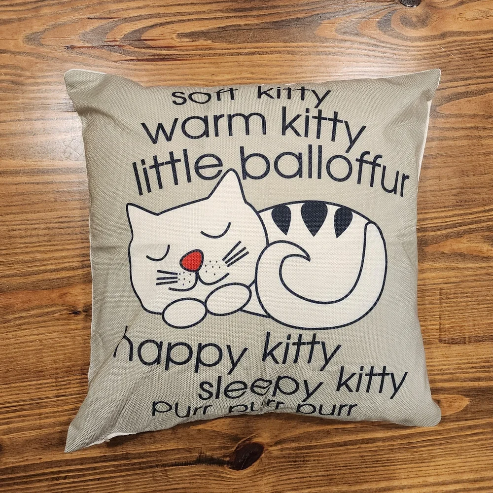 Big Bang Theory Soft Kitty Zippered Pillow Case and Pillow NWOT